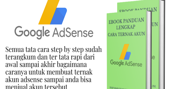 Panduan-lengkap-cara-ternak-akun-adsense